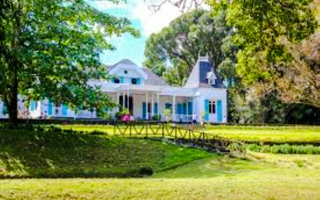 Mauritius Tea Plantations & Colonial Estates Day Trip with Lunch and Hotel Transfers Image 5