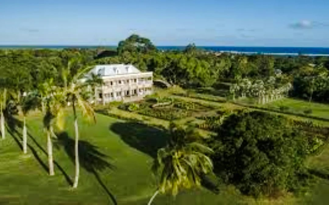 Mauritius Tea Plantations & Colonial Estates Day Trip with Lunch and Hotel Transfers Image 6