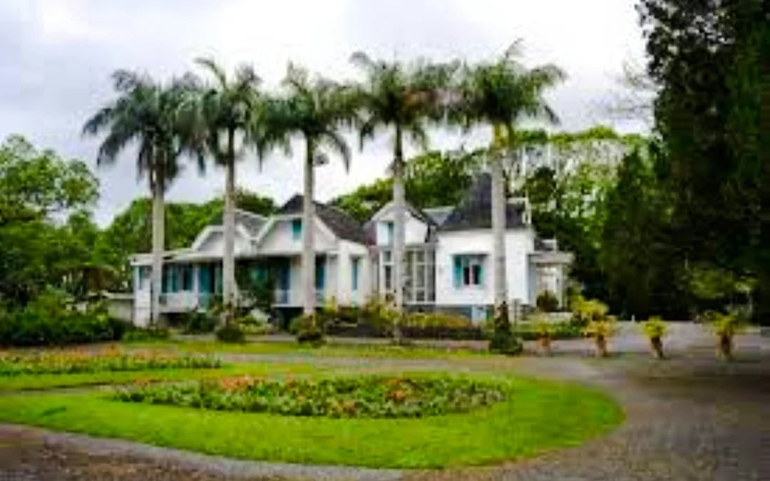Mauritius Tea Plantations & Colonial Estates Day Trip with Lunch and Hotel Transfers Image 9