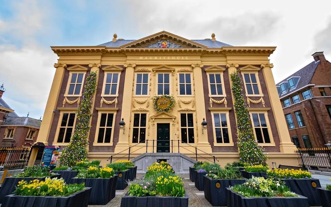 Mauritshuis Entry Tickets Image 1