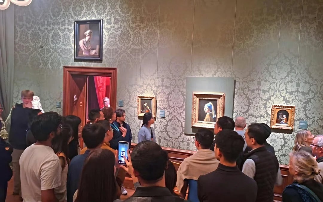 Mauritshuis Entry Tickets Image 7