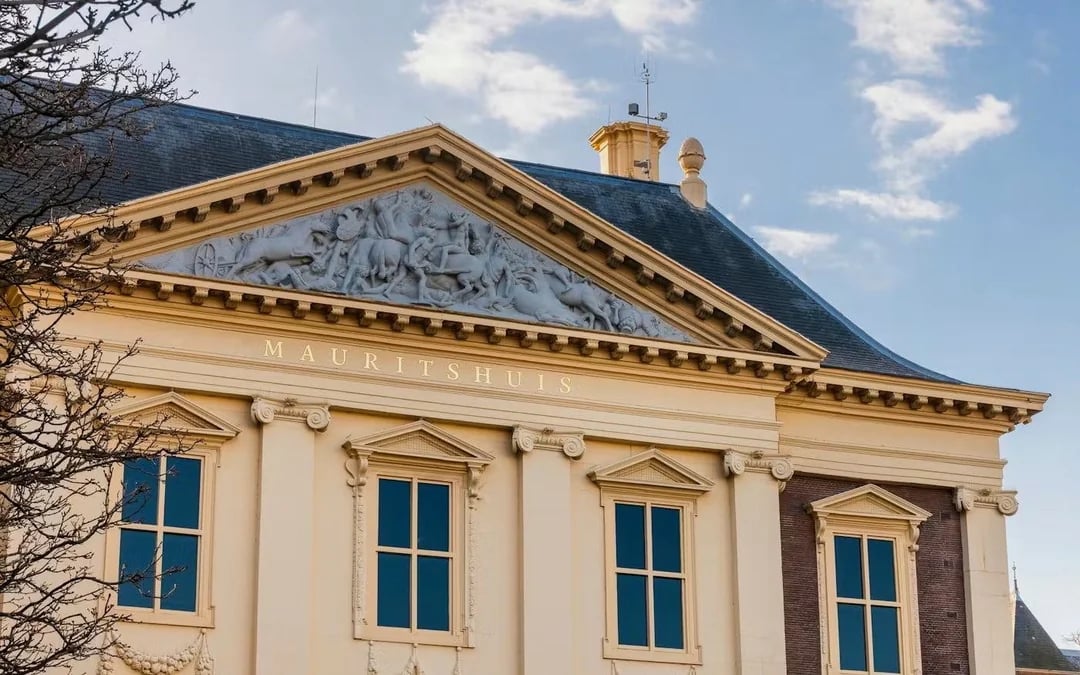 Mauritshuis Entry Tickets Image 9