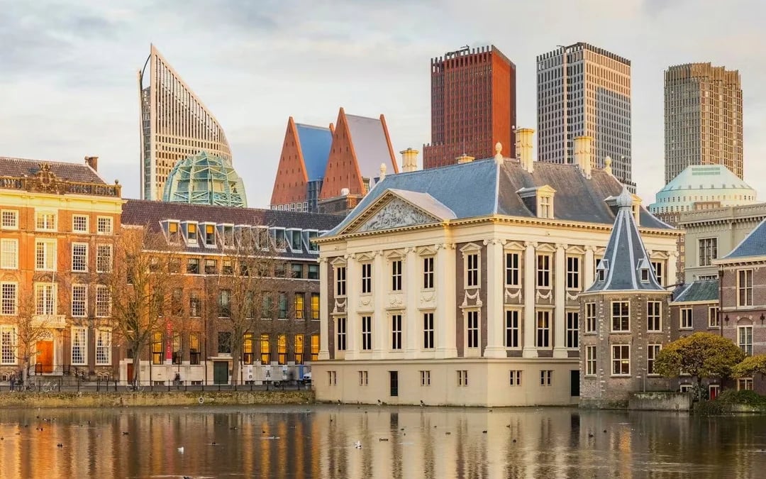 Mauritshuis Entry Tickets Image 10