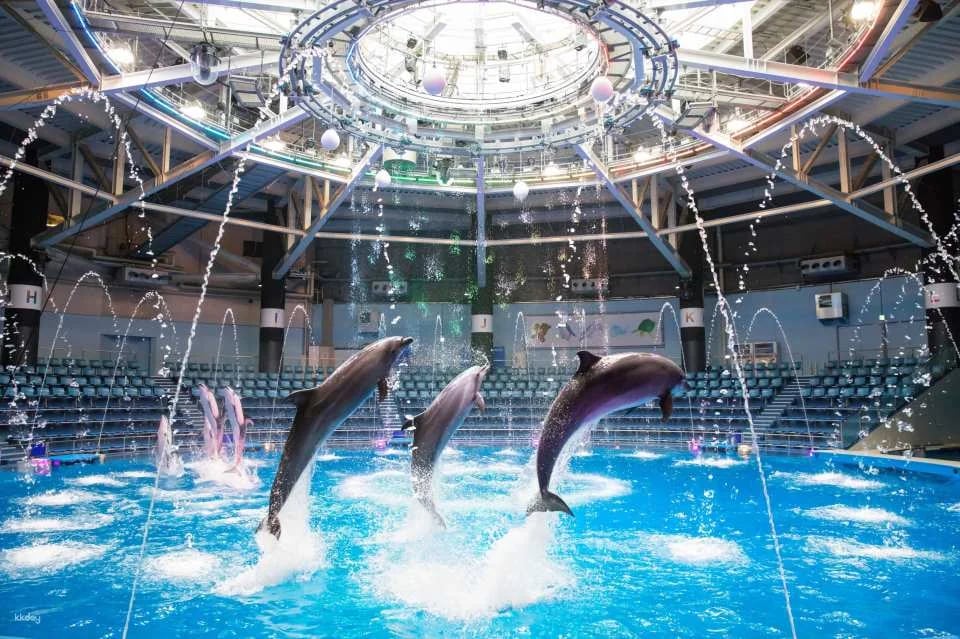 Maxell Aqua Park Shinagawa Ticket
