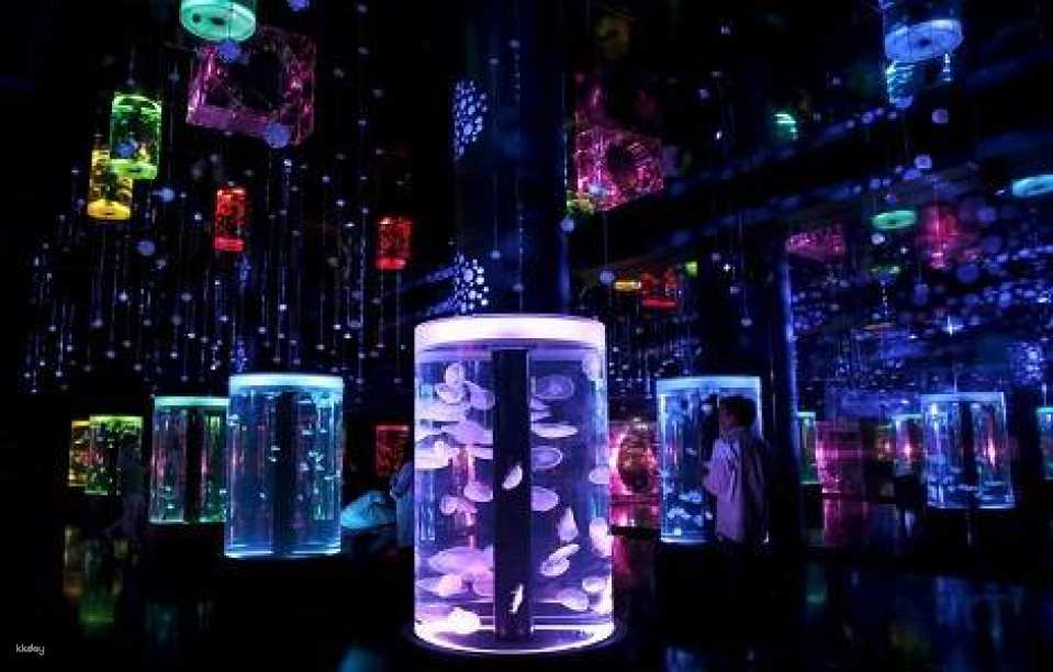 Maxell Aqua Park Shinagawa Ticket