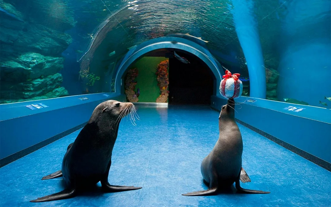 Maxell Aqua Park Tickets [E-Ticket] Image 2