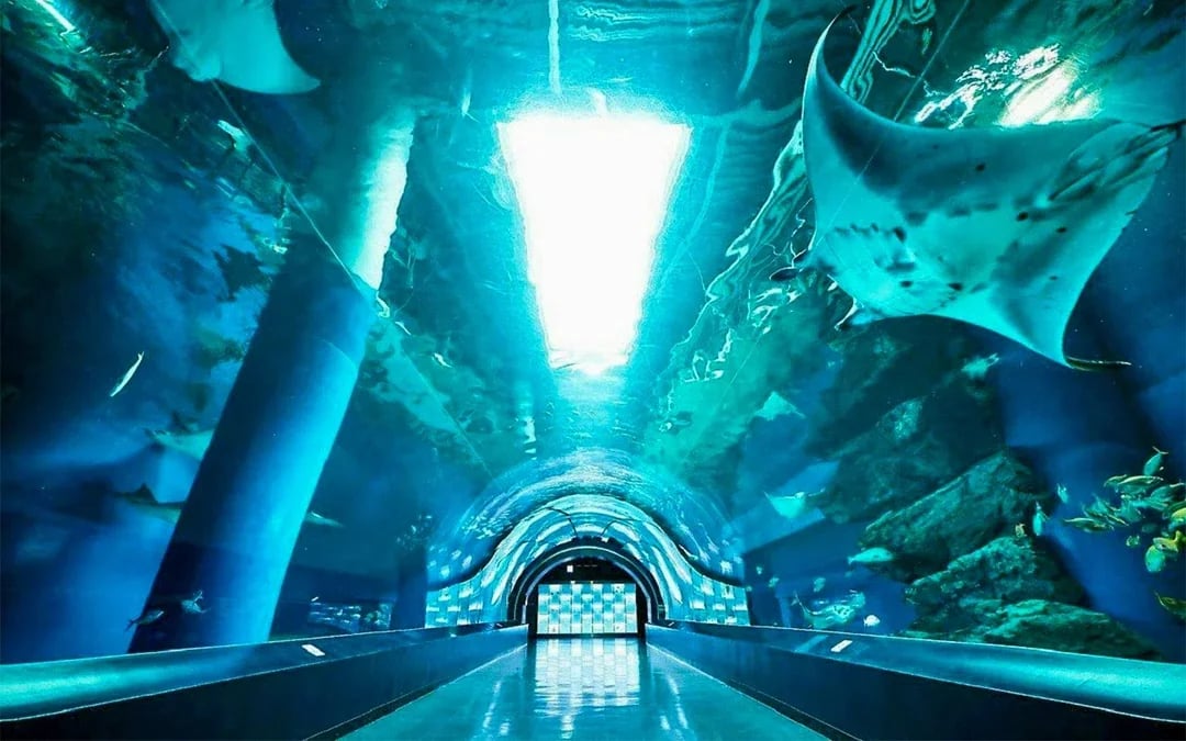 Maxell Aqua Park Tickets [E-Ticket] Image 4