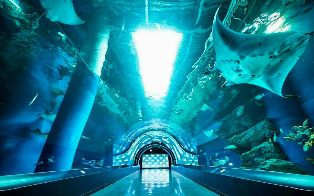 Maxell Aqua Park Tickets [E-Ticket] Image 4