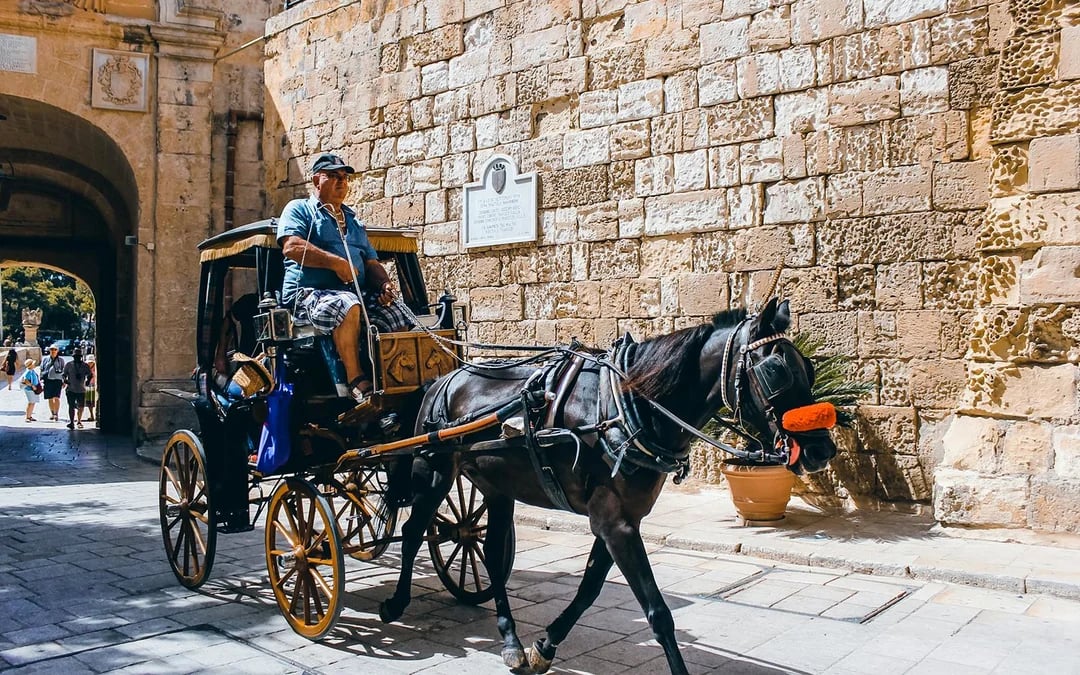 Mdina, Dingli Cliffs & San Anton Botanical Gardens Half-Day Guided Tour with Transports Image 5