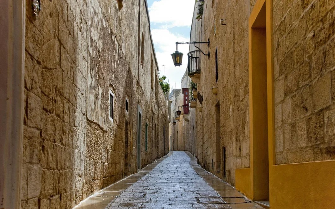 Mdina, Dingli Cliffs & San Anton Botanical Gardens Half-Day Guided Tour with Transports Image 6