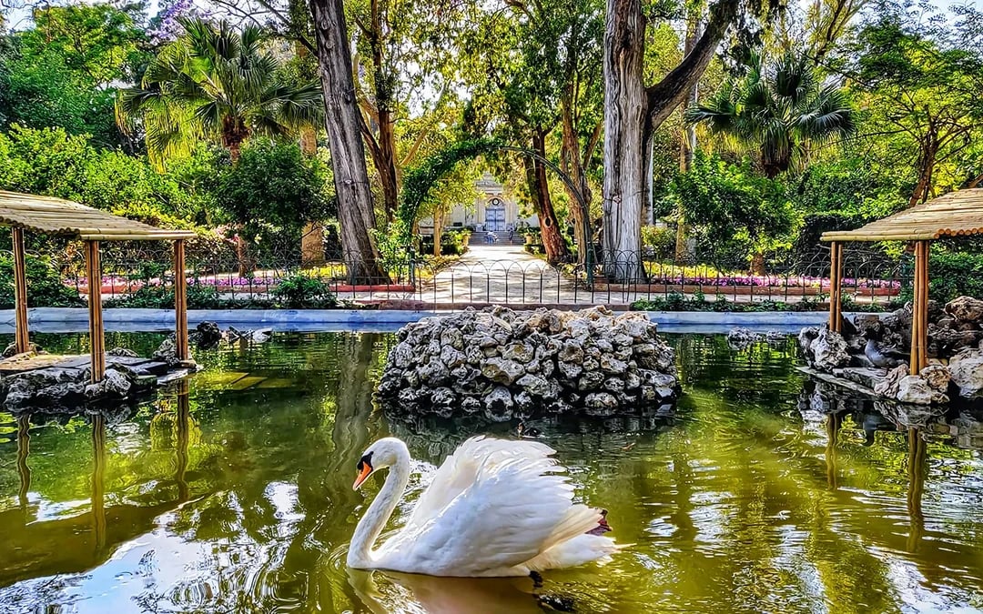 Mdina, Dingli Cliffs & San Anton Botanical Gardens Half-Day Guided Tour with Transports Image 10