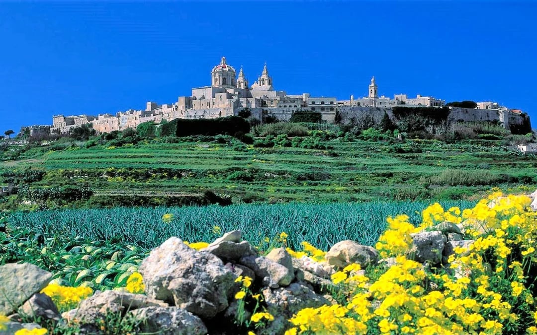 Mdina, Dingli Cliffs, and San Anton Gardens Guided Tour Image 2