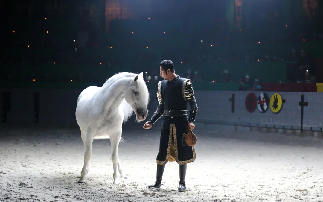 Medieval Times Dinner & Tournament Orlando Image 2