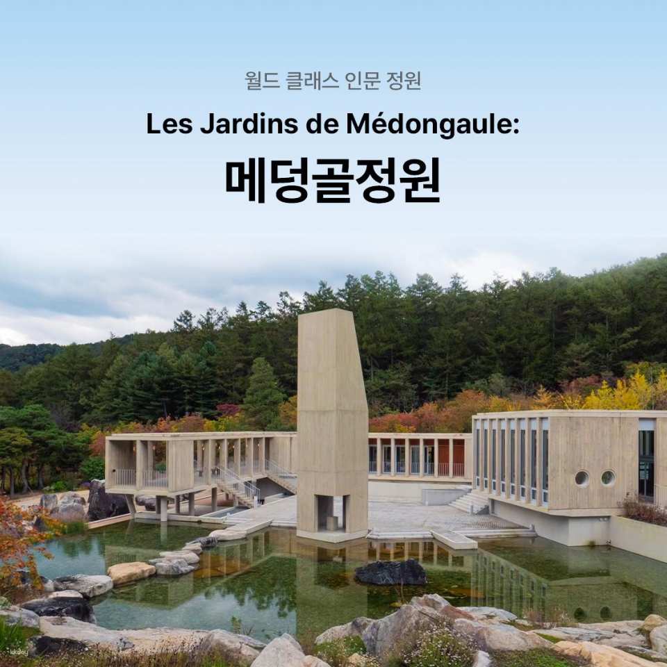 Médongaule Ticket
