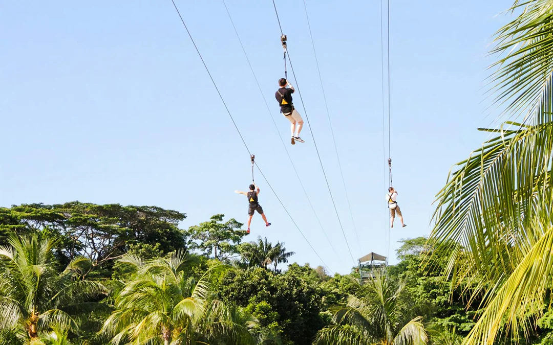 MegaZip Tandem Tickets at Mega Adventure Park Sentosa Image 1