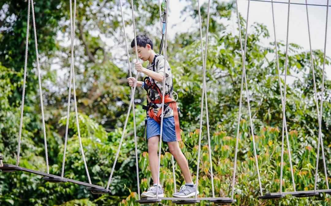 MegaZip Tandem Tickets at Mega Adventure Park Sentosa Image 4