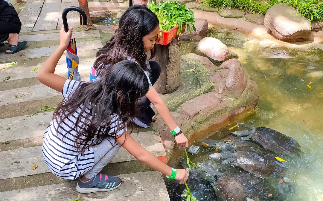 Melaka Crocodile & Recreational Park Admission Image 2