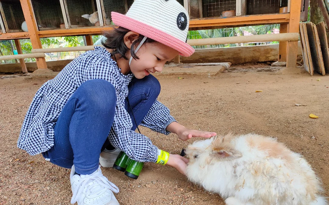 Melaka Crocodile & ​​Recreational Park Admission Image 5