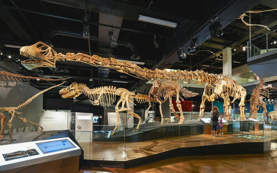 Melbourne Musuem Tickets Image 12
