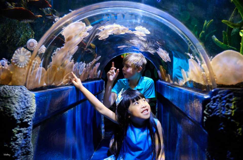 Melbourne SEA LIFE Aquarium Tickets | Victoria