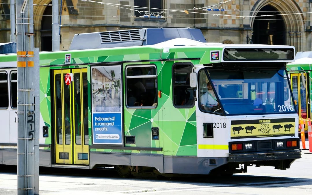Melbourne Walking Tour with Tram Ride: Fitzroy, Laneways, Chinatown and St Kilda Image 5