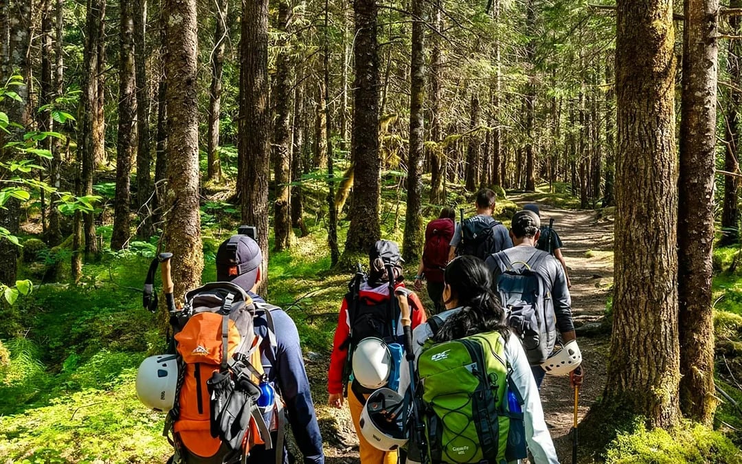 Mendenhall Glacier Guided Hike through Tongass National Forest Image 2