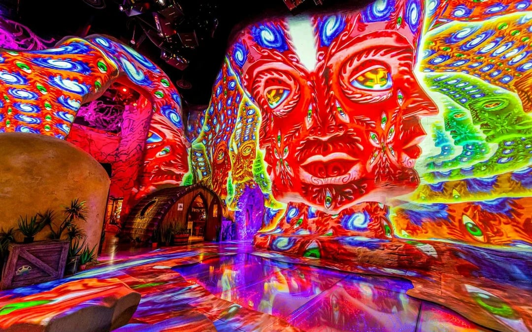 Meow Wolf's Omega Mart Admission Ticket Image 2