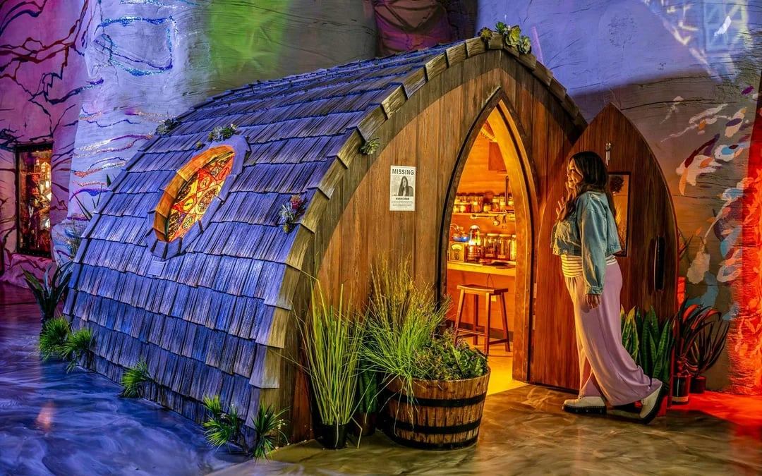 Meow Wolf's Omega Mart VIP Package with Collector's Ticket, Lanyard and 1 Drink Image 7