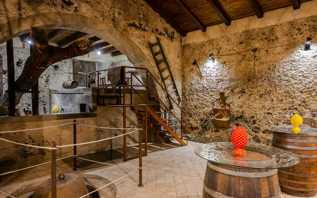 Messina Natural Wine and Olive Oil Tasting with Brunch at an Ancient Palmento Image 1