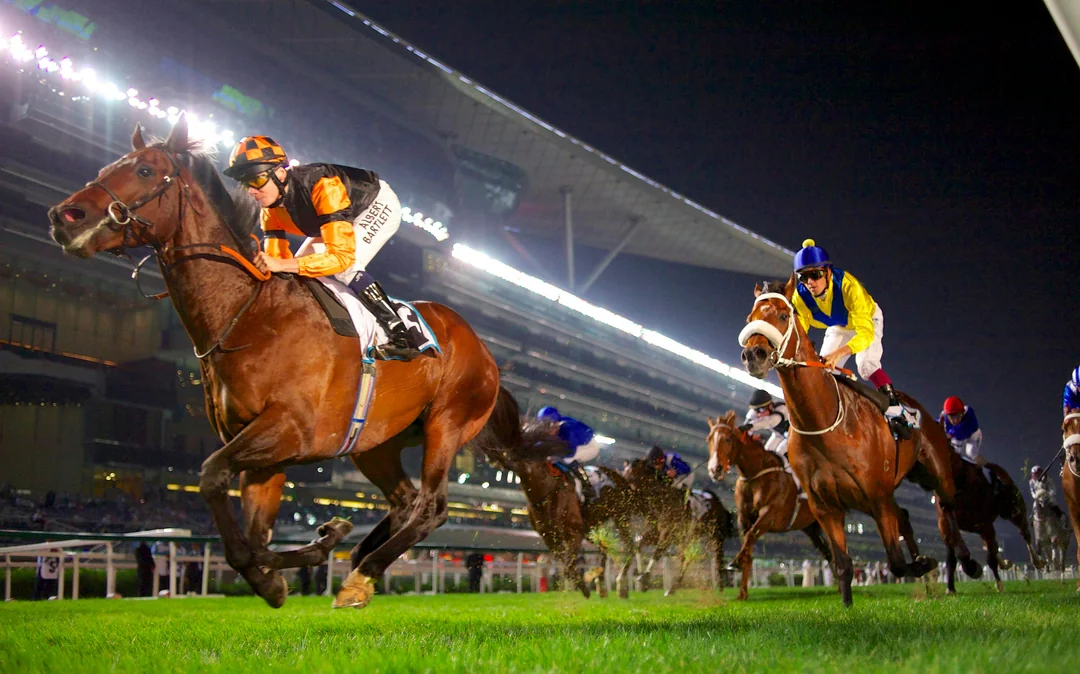 Meydan Races Image 2