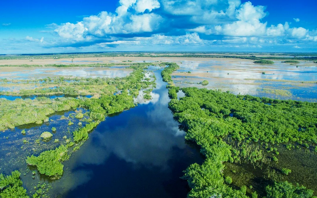 Miami: Airboat Tour with Wildlife Show & Transportation from Miami Image 2