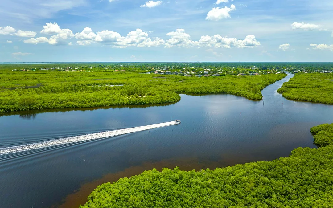 Miami: Everglades Airboat Tour with Reptile Exhibit & Optional Transportation Image 2