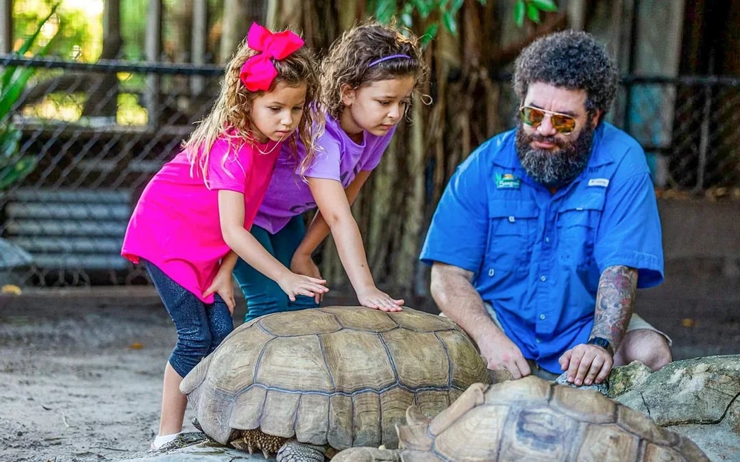 Miami: Everglades Airboat Tour with Reptile Exhibit & Optional Transportation Image 6