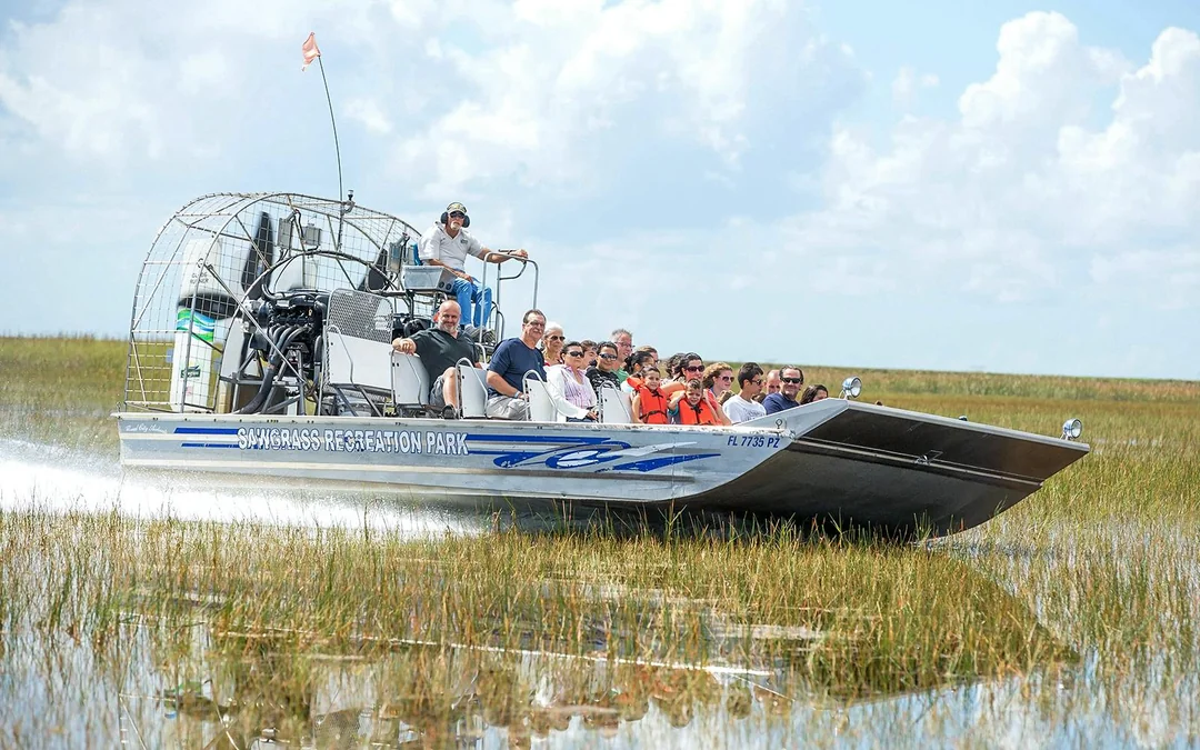 Miami: Everglades Airboat Tour with Reptile Exhibit & Optional Transportation Image 9
