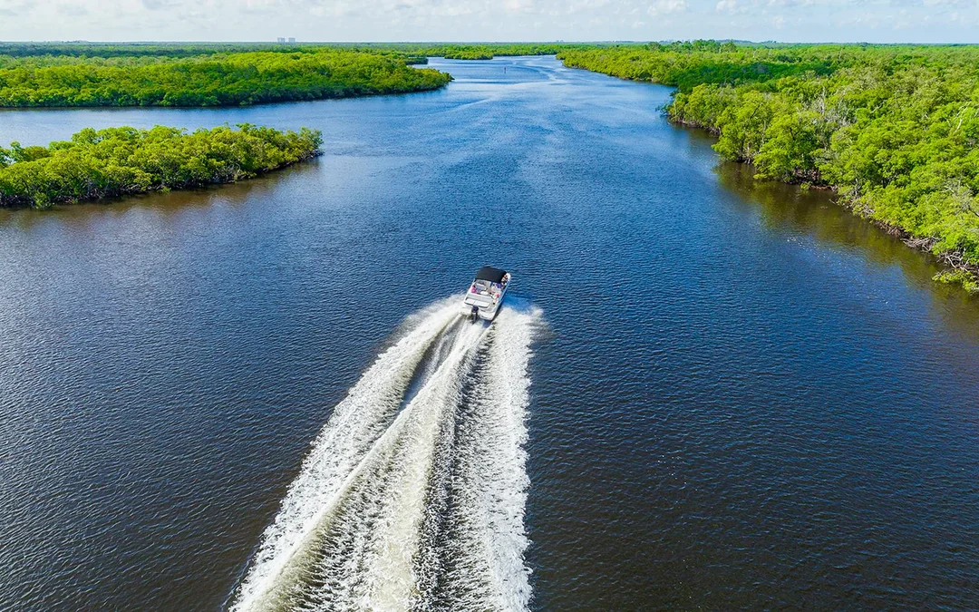 Miami: Everglades Holiday Park Airboat Tour with Alligator Show Image 2