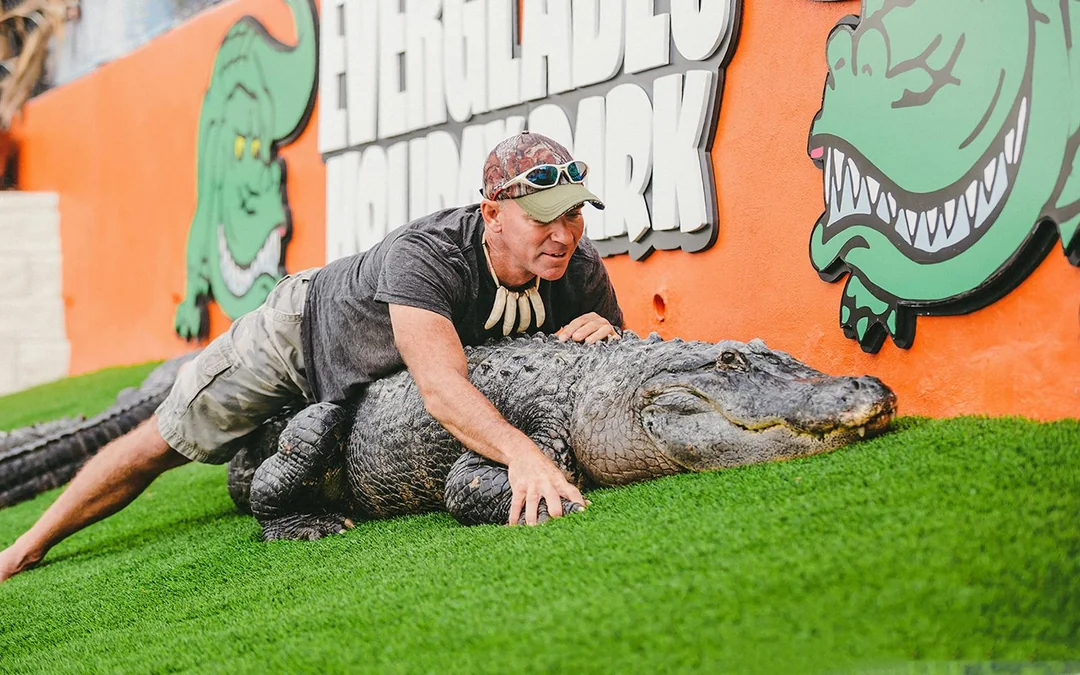 Miami: Everglades Holiday Park Airboat Tour with Alligator Show Image 3