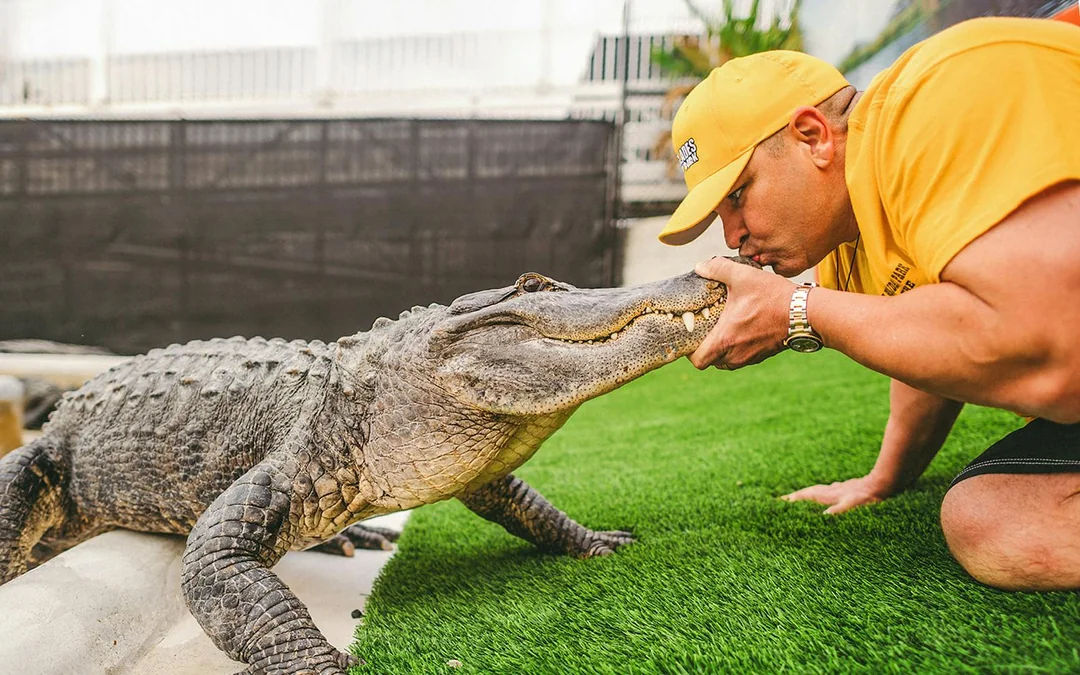 Miami: Everglades Holiday Park Airboat Tour with Alligator Show Image 5