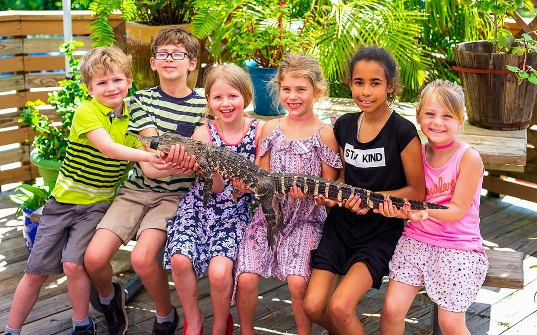 Miami: Everglades Holiday Park Airboat Tour with Alligator Show Image 7