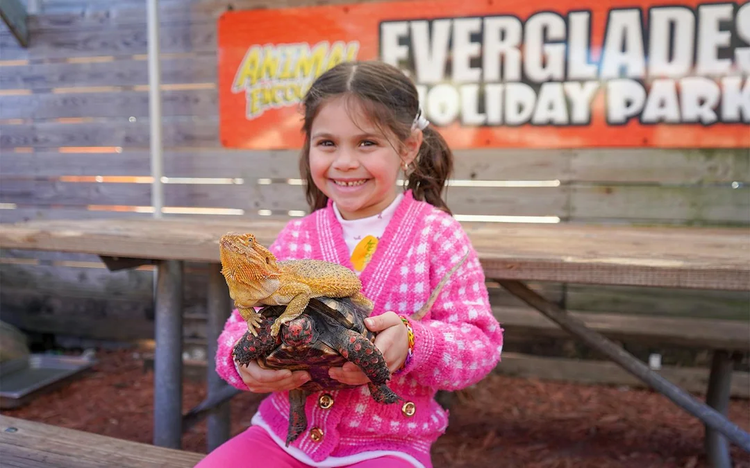 Miami: Everglades Holiday Park Airboat Tour with Wildlife Show & Animal Encounter Image 4