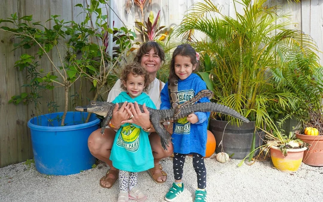 Miami: Everglades Holiday Park Airboat Tour with Wildlife Show & Animal Encounter Image 6