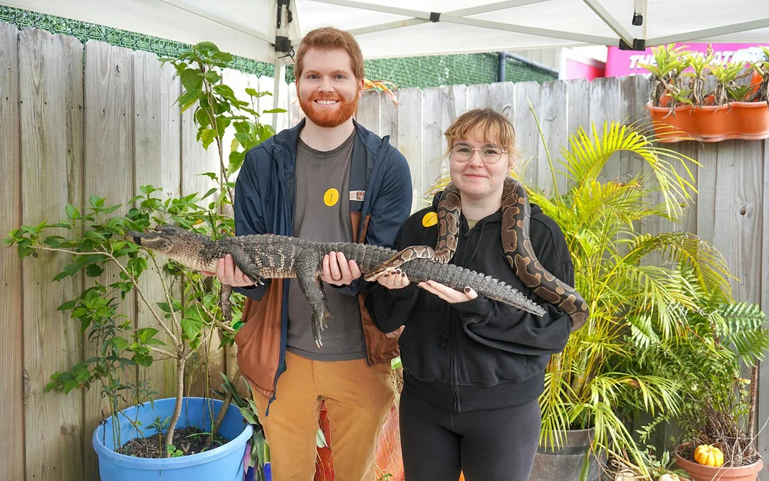 Miami: Everglades Holiday Park Animal Encounter Experience Tickets Image 7