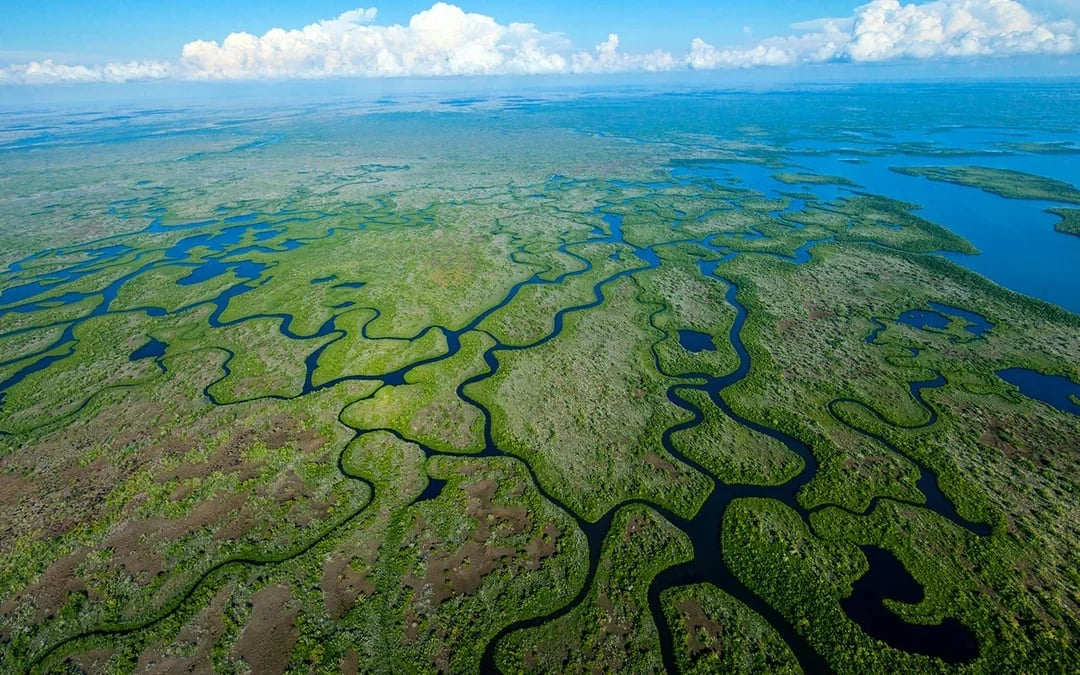 Miami: Private Everglades Airboat Tour [Group Pricing] Image 2