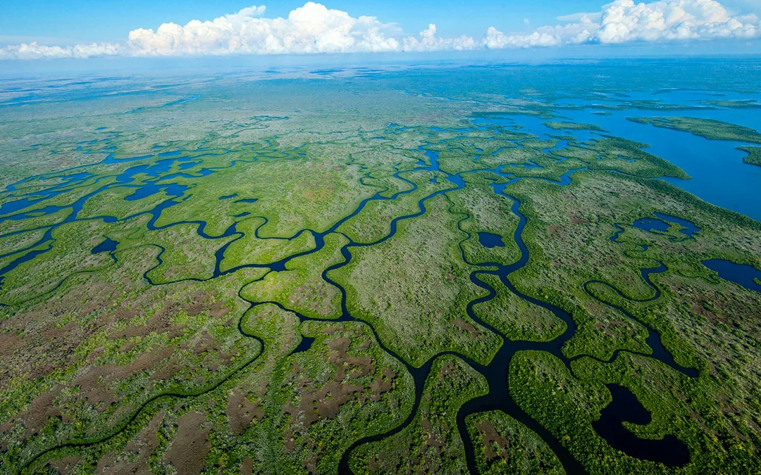 Miami: Private Everglades Airboat Tour [Group Pricing] Image 2