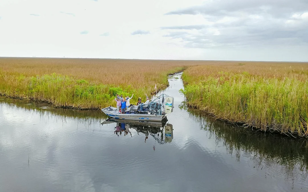 Miami: Sawgrass Recreation Park Airboat Tour at Night Image 3