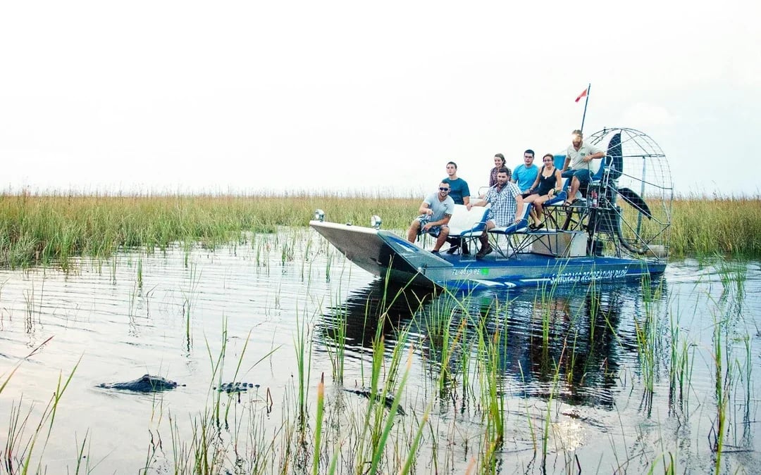 Miami: Sawgrass Recreation Park Airboat Tour at Night Image 7