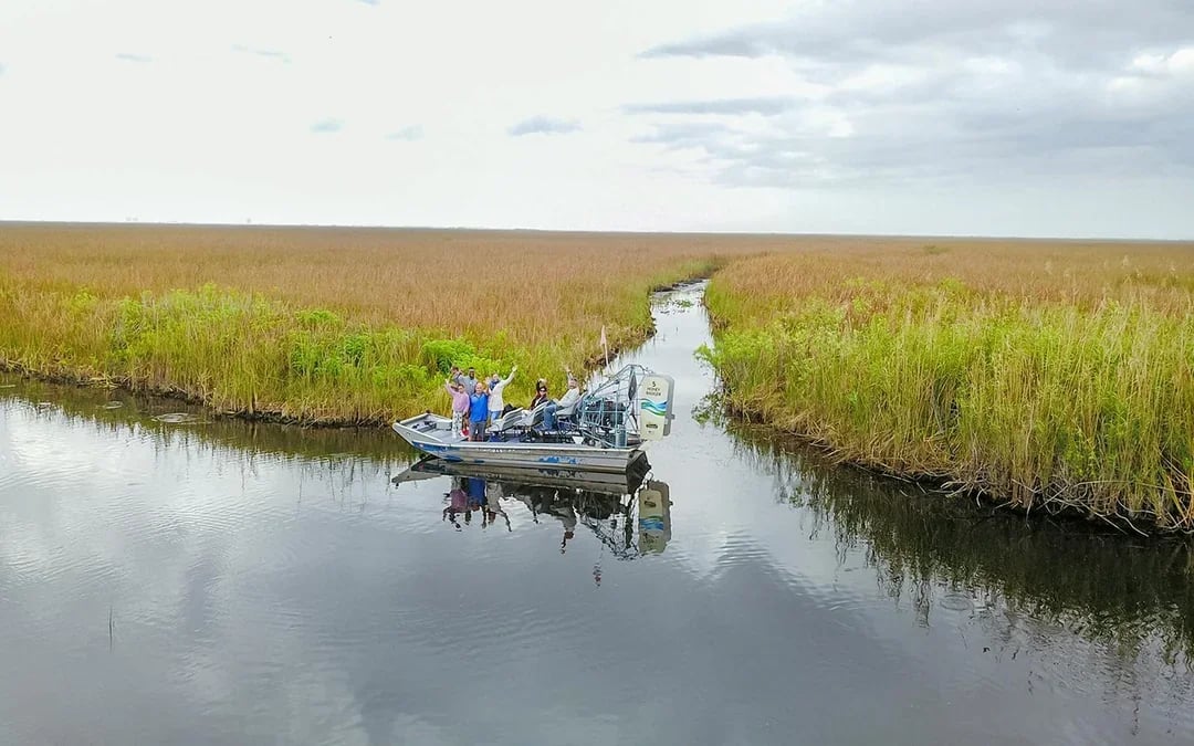Miami: Sawgrass Recreation Park Airboat Tour with Reptile Exhibit & Optional Transportation Image 3