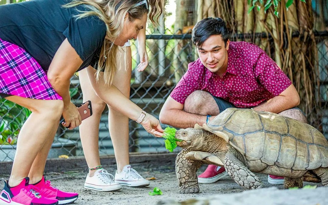 Miami: Sawgrass Recreation Park Airboat Tour with Reptile Exhibit & Optional Transportation Image 5