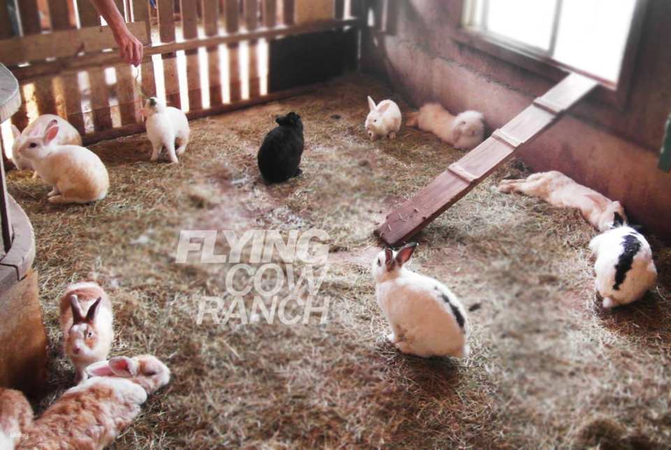 Miaoli Flying Cow Ranch Tickets