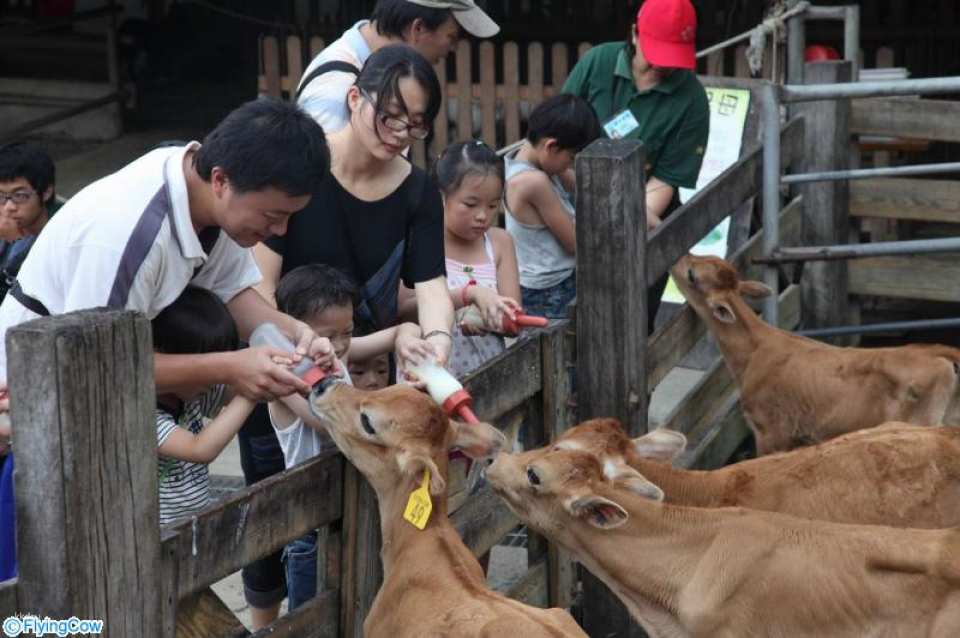 Miaoli Flying Cow Ranch Tickets