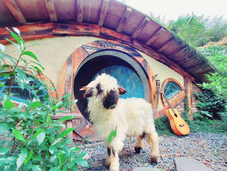 Miaoli Habichu Tea Tree Forest Ticket